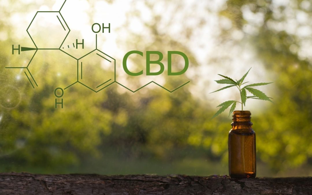 CBD for pain relief - the science behind it